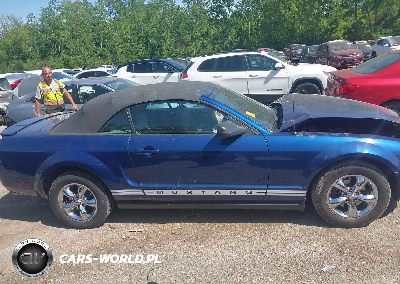 2007 Ford Mustang V6 Deluxe-V6 Premium VIN:1ZVFT84N175201423 - 14
