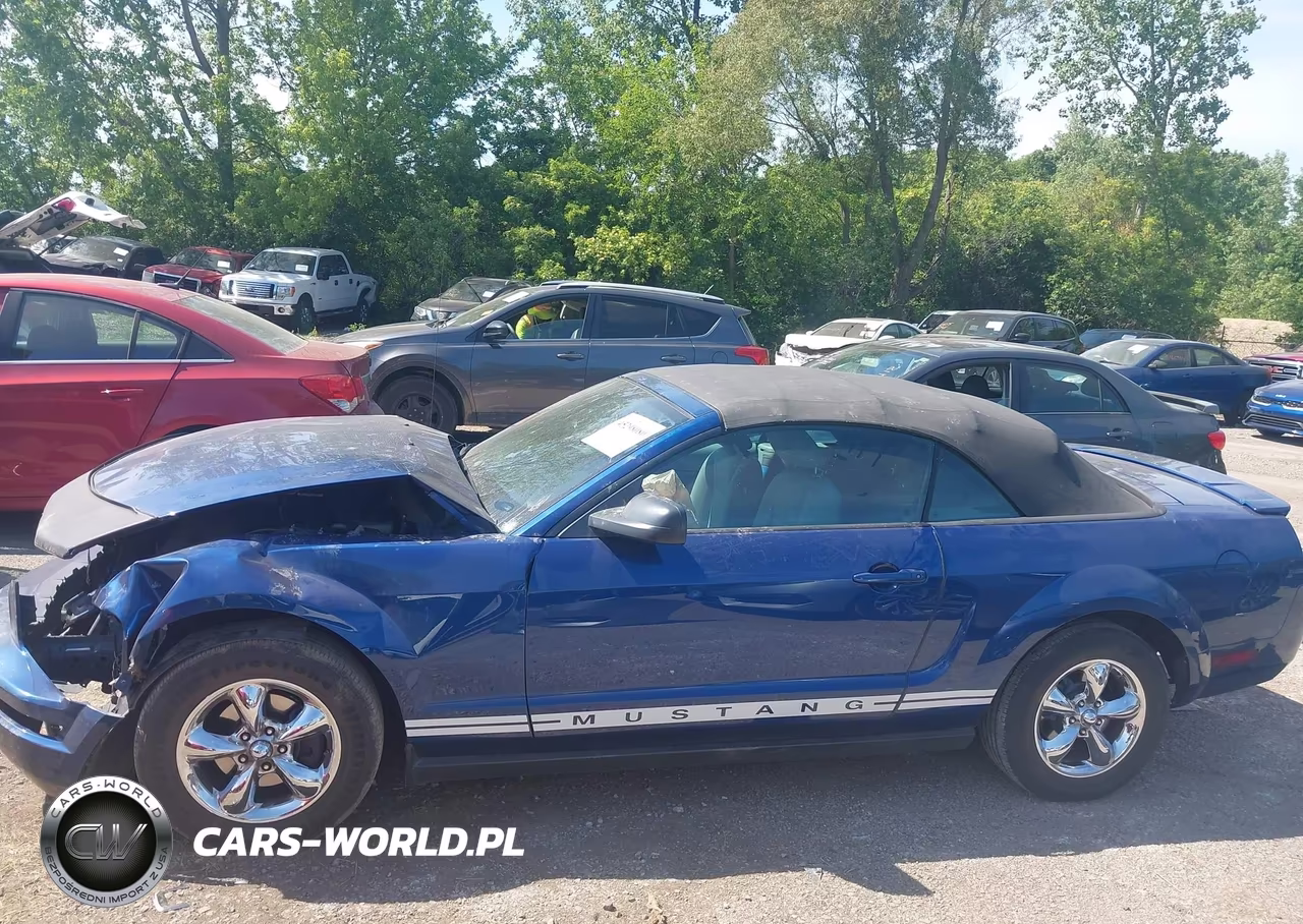 2007 Ford Mustang V6 Deluxe-V6 Premium VIN:1ZVFT84N175201423 - 15
