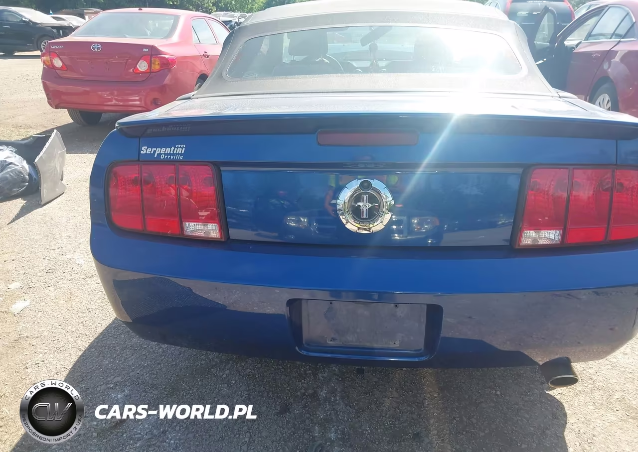 2007 Ford Mustang V6 Deluxe-V6 Premium VIN:1ZVFT84N175201423 - 17