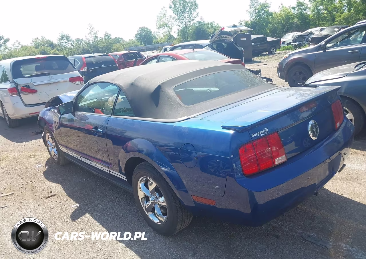 2007 Ford Mustang V6 Deluxe-V6 Premium VIN:1ZVFT84N175201423 - 3
