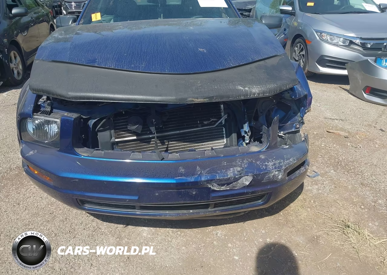 2007 Ford Mustang V6 Deluxe-V6 Premium VIN:1ZVFT84N175201423 - 6