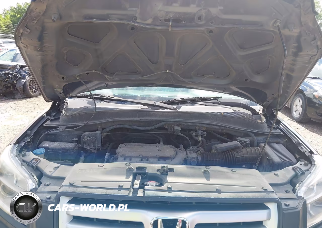 2006 Honda Pilot Ex VIN:2HKYF184X6H563972 - 10