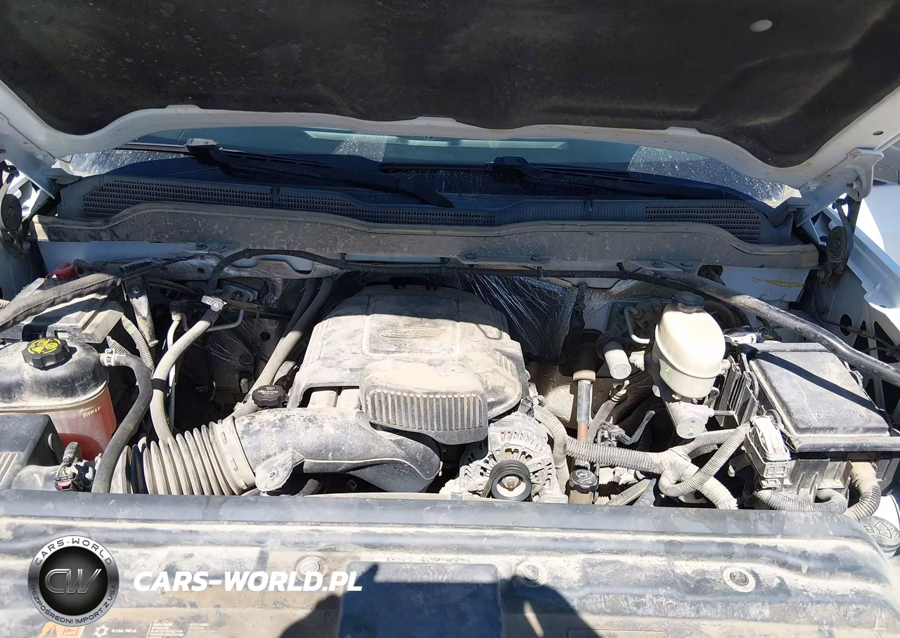 2017 Chevrolet Silverado 2500Hd Wt VIN:1GC1KUEG0HF198969 - 10