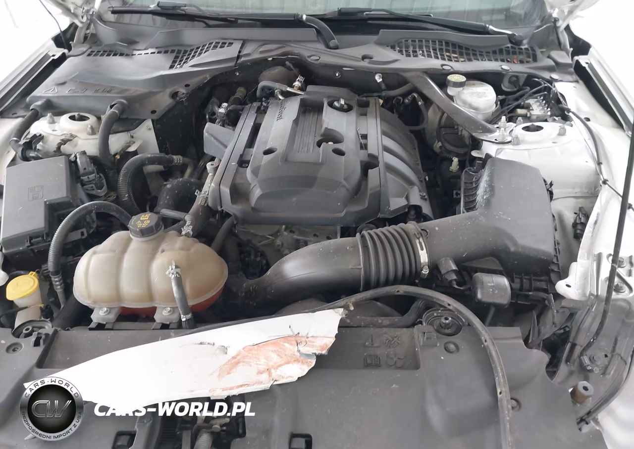 2019 Ford Mustang Ecoboost Premium VIN:1FATP8UH8K5104481 - 10
