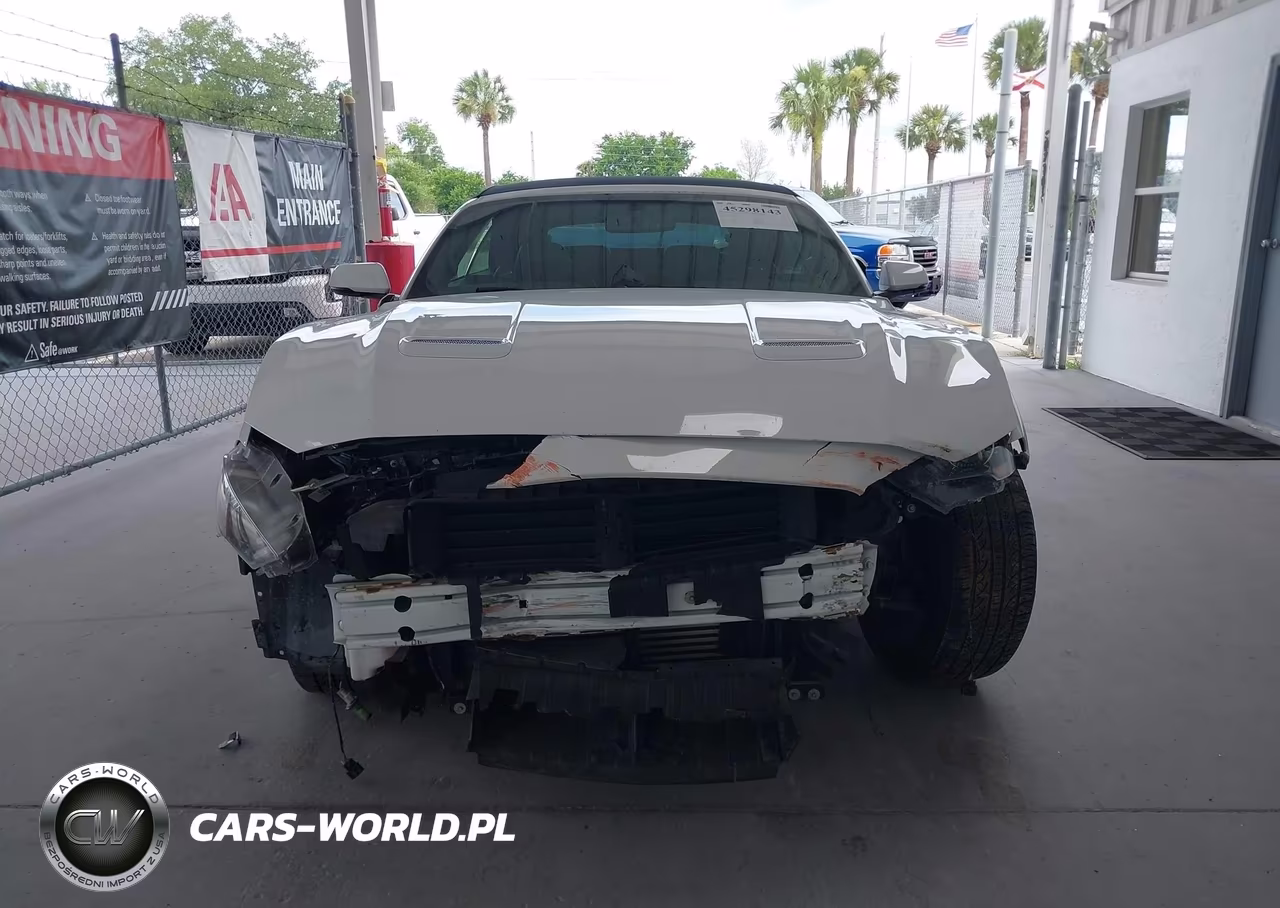 2019 Ford Mustang Ecoboost Premium VIN:1FATP8UH8K5104481 - 13