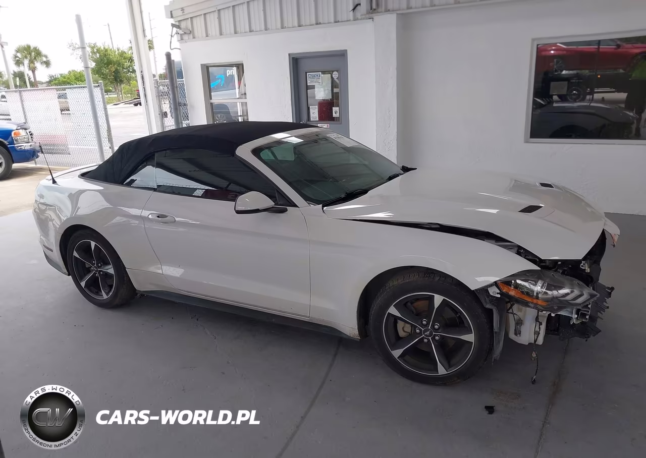 2019 Ford Mustang Ecoboost Premium VIN:1FATP8UH8K5104481 - 14