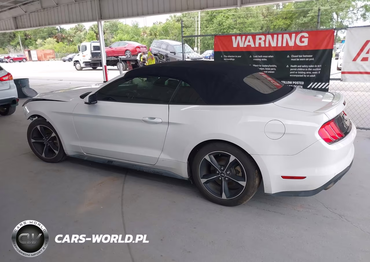 2019 Ford Mustang Ecoboost Premium VIN:1FATP8UH8K5104481 - 15