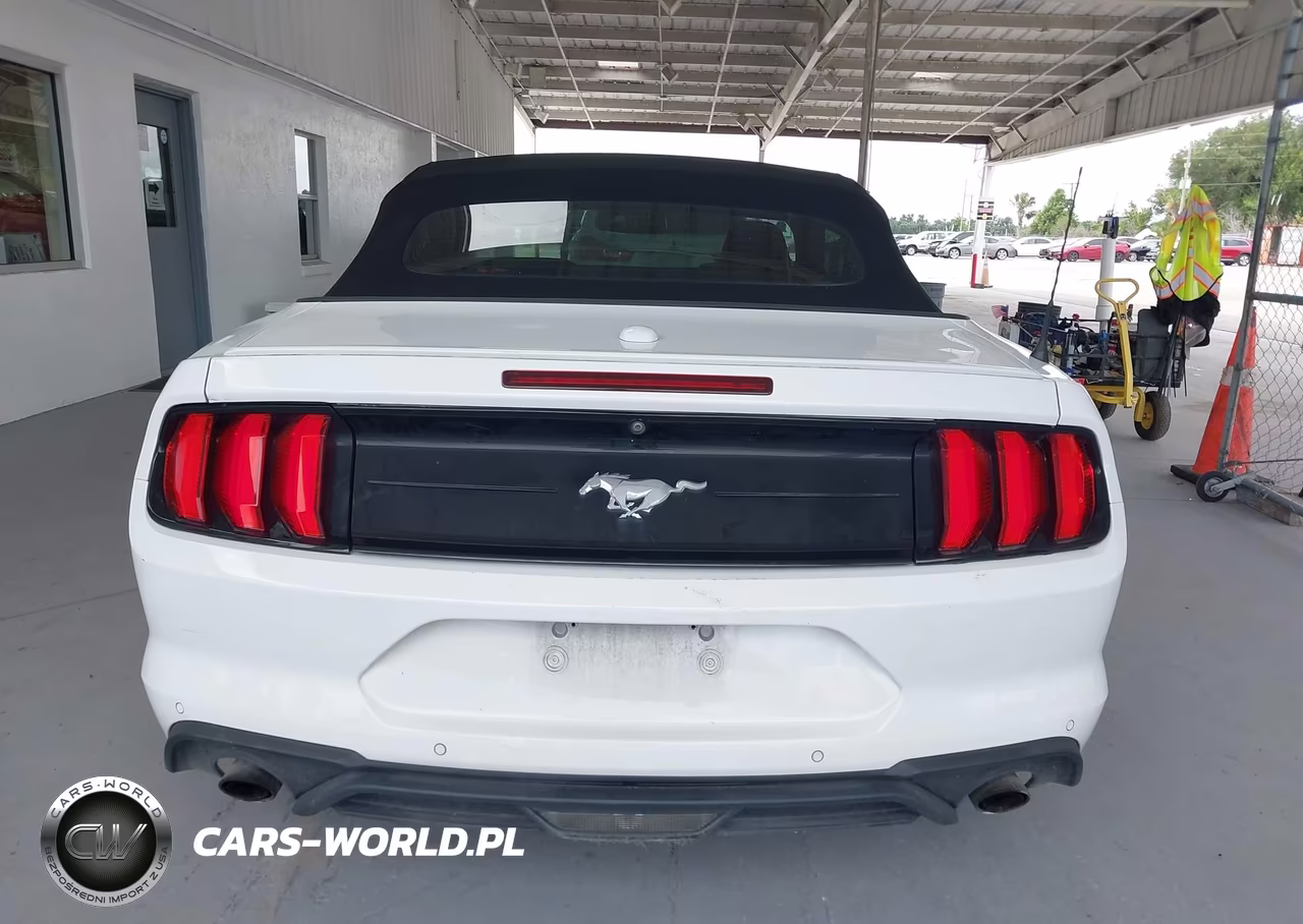 2019 Ford Mustang Ecoboost Premium VIN:1FATP8UH8K5104481 - 17