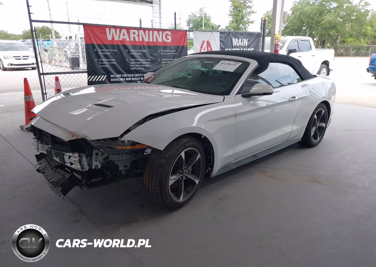 2019 Ford Mustang Ecoboost Premium VIN:1FATP8UH8K5104481 - 2