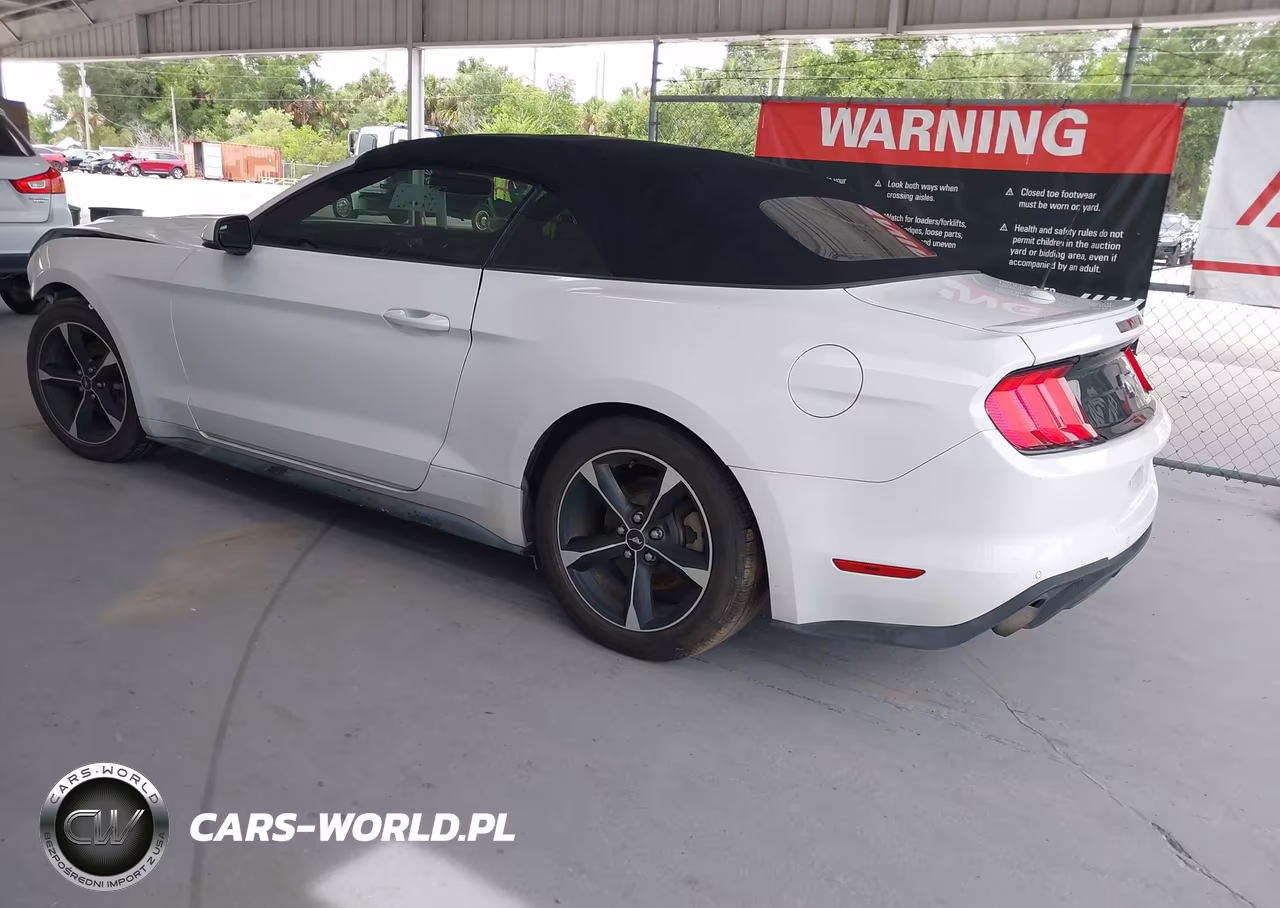 2019 Ford Mustang Ecoboost Premium VIN:1FATP8UH8K5104481 - 3