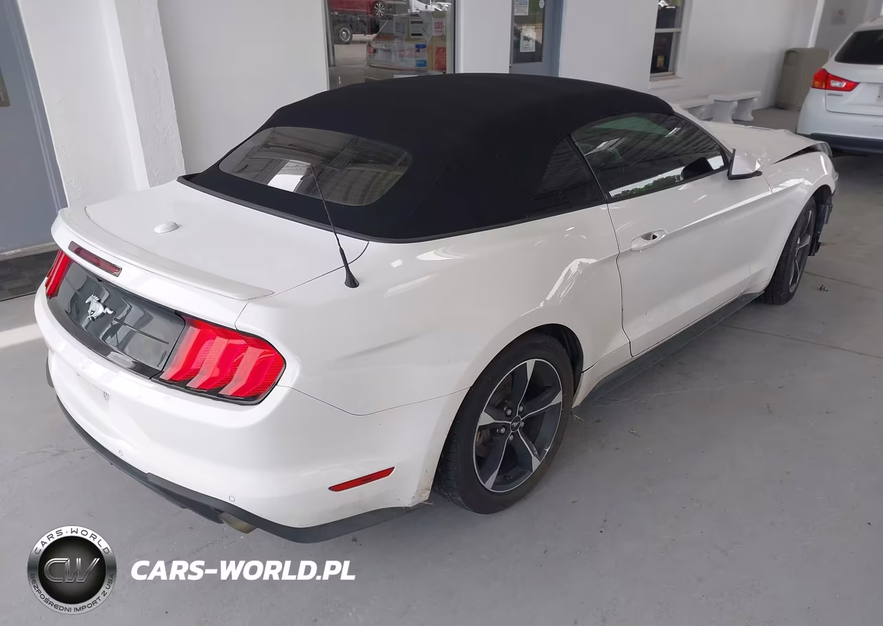 2019 Ford Mustang Ecoboost Premium VIN:1FATP8UH8K5104481 - 4