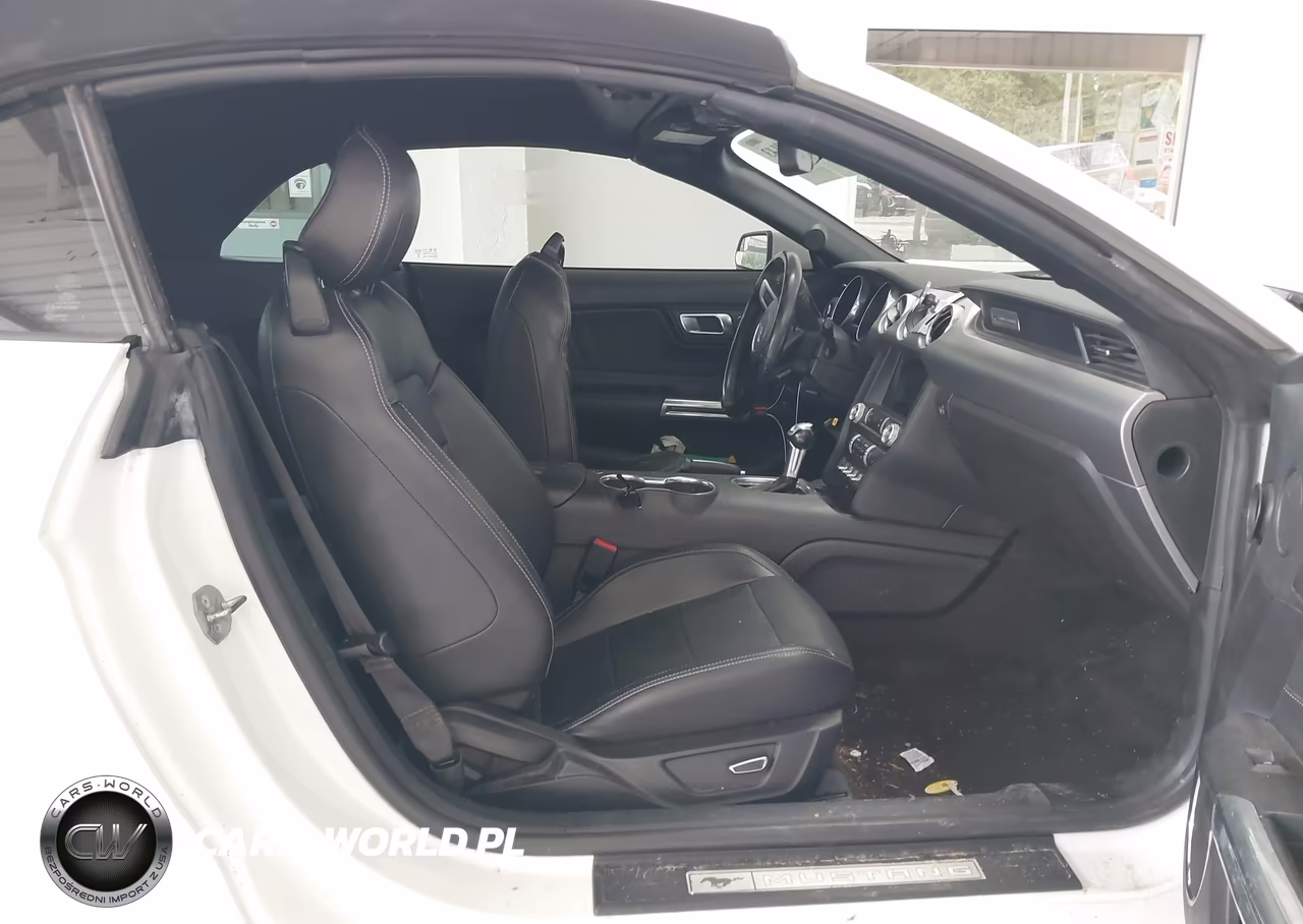 2019 Ford Mustang Ecoboost Premium VIN:1FATP8UH8K5104481 - 5