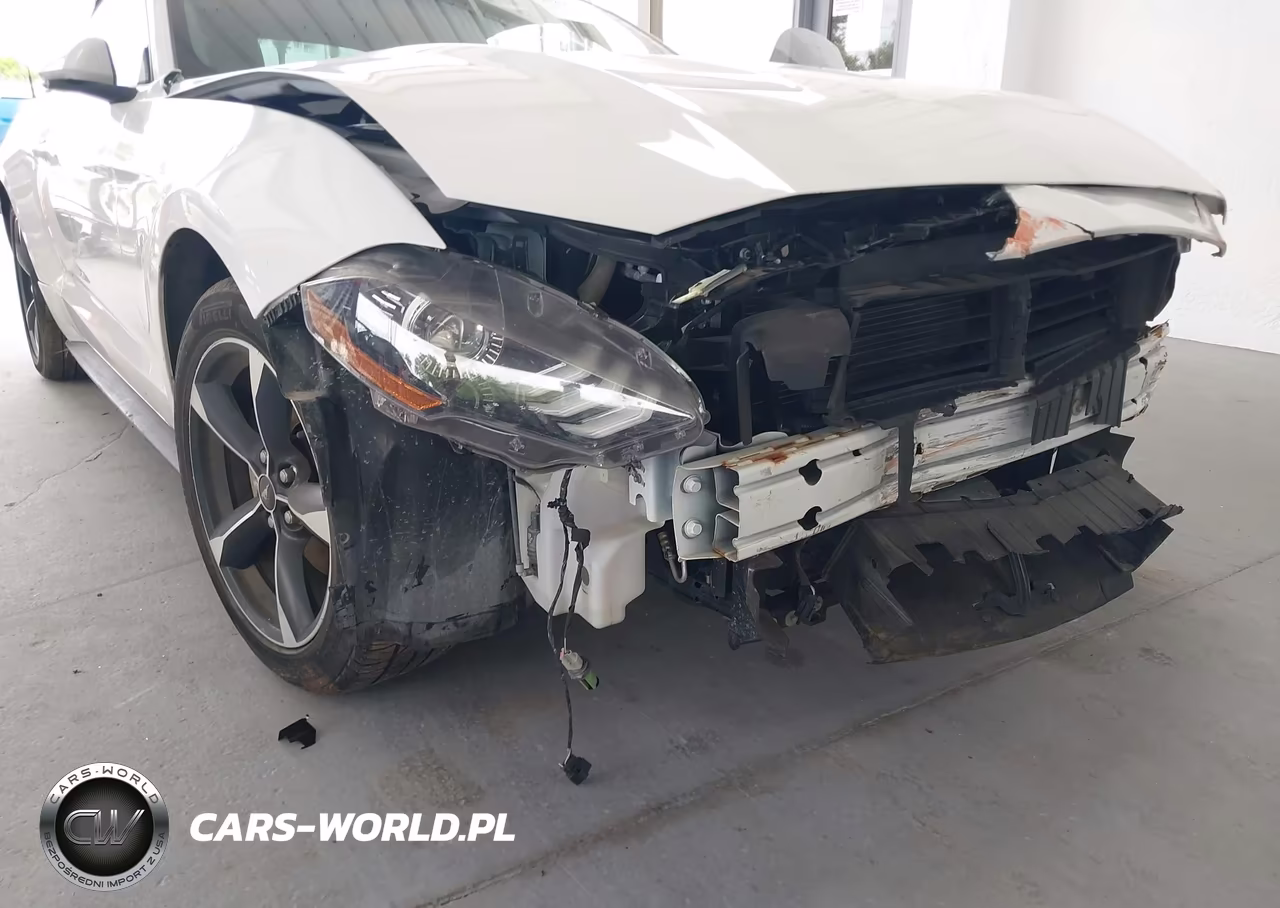 2019 Ford Mustang Ecoboost Premium VIN:1FATP8UH8K5104481 - 6