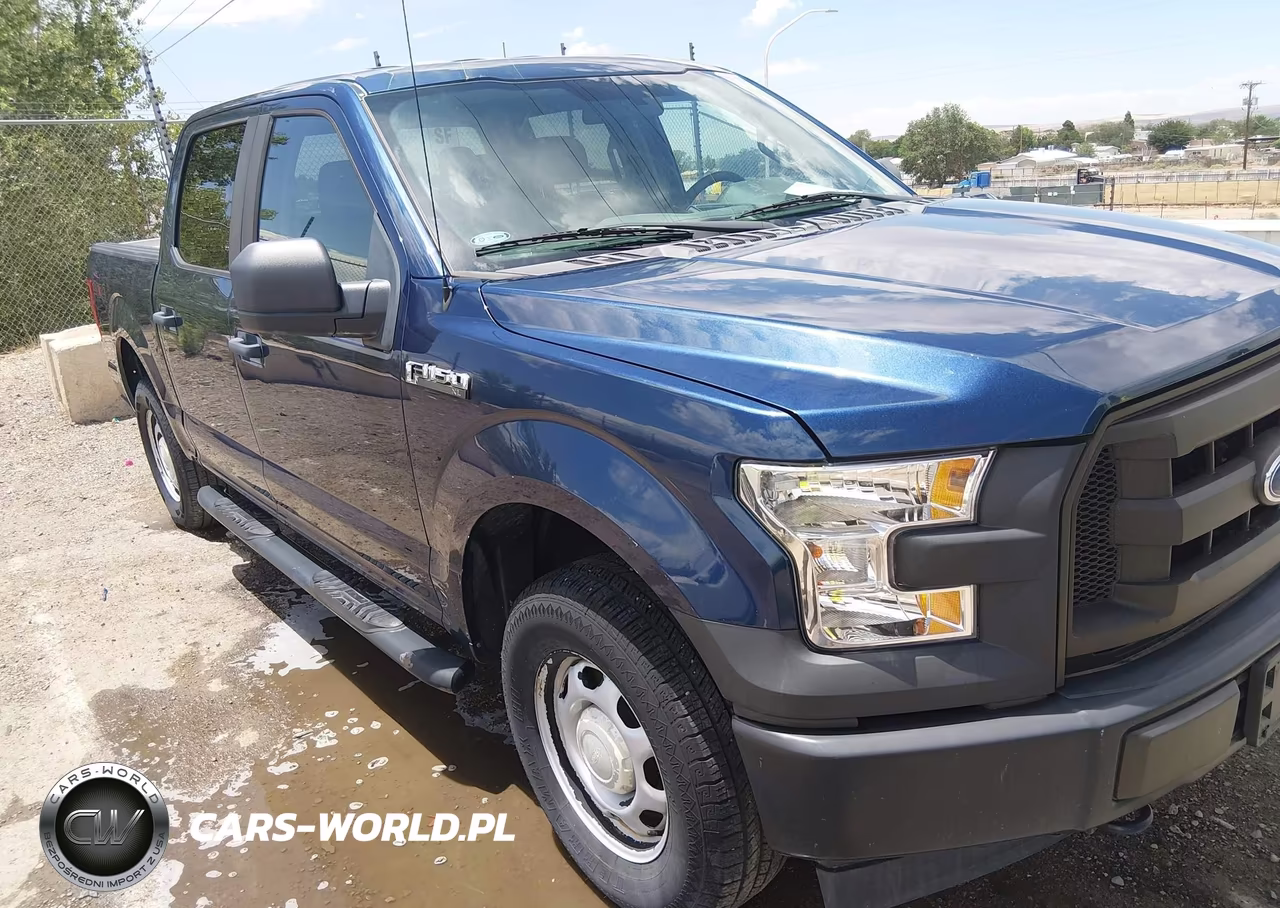 2017 Ford F-150 Xl VIN:1FTEW1E81HKD63688 - 12