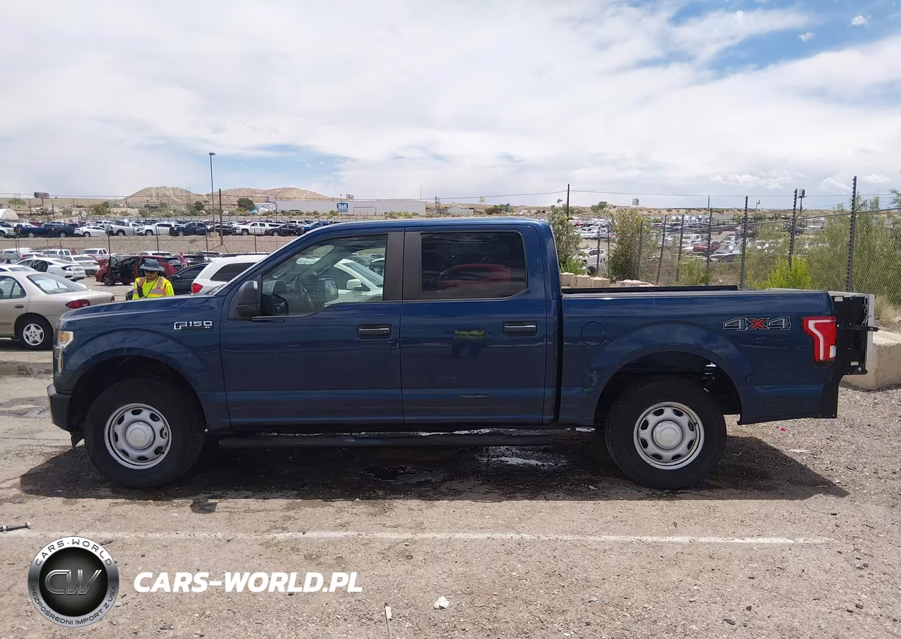 2017 Ford F-150 Xl VIN:1FTEW1E81HKD63688 - 16