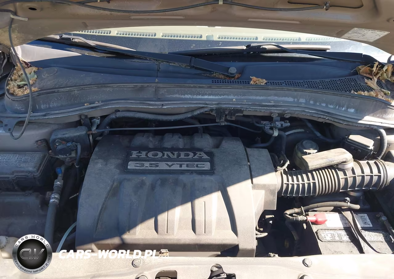 2005 Honda Pilot Ex-L VIN:5FNYF185X5B014567 - 10