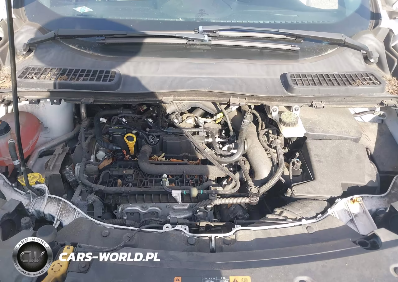 2019 Ford Escape Se VIN:1FMCU0GDXKUA06079 - 10