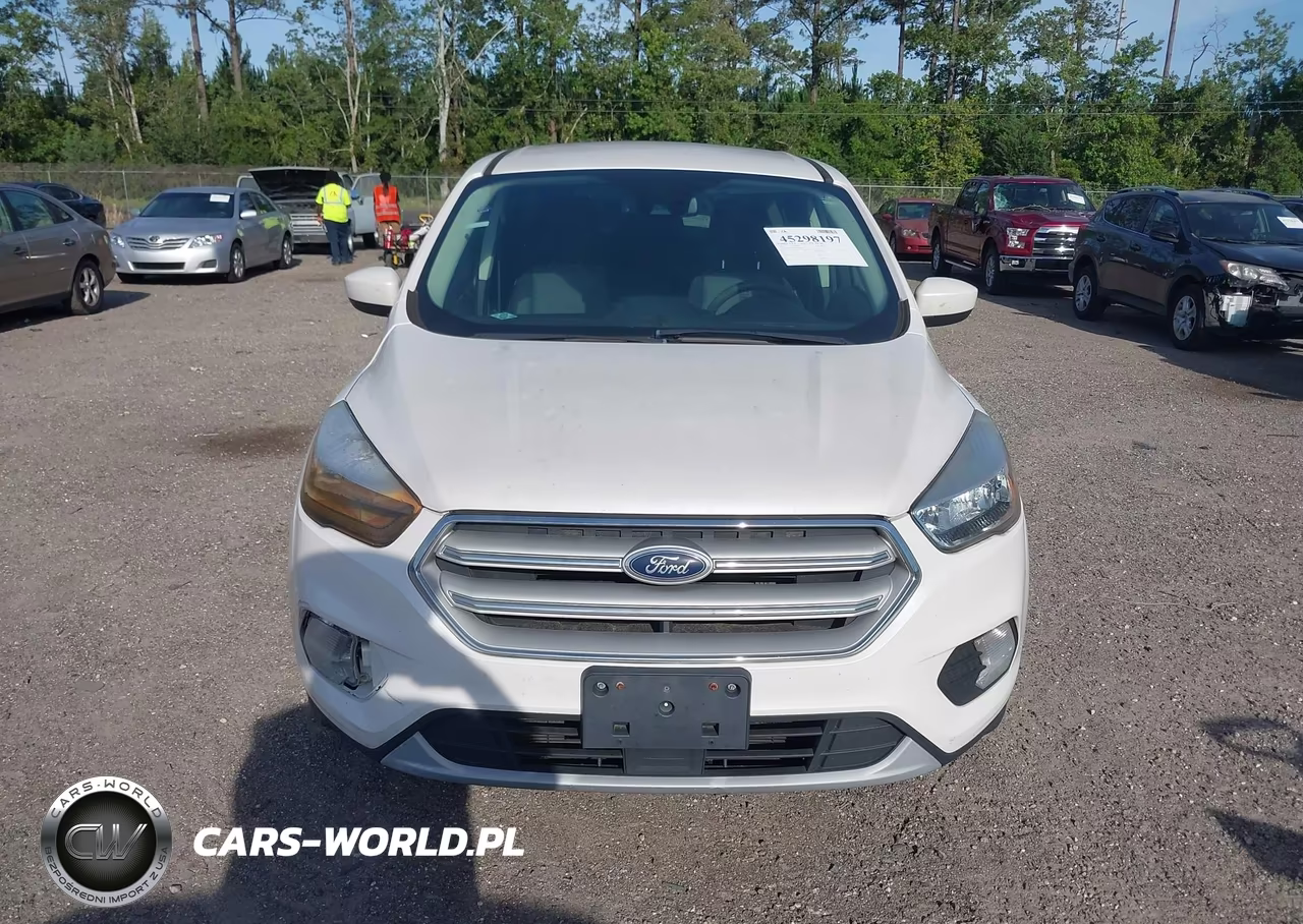 2019 Ford Escape Se VIN:1FMCU0GDXKUA06079 - 12