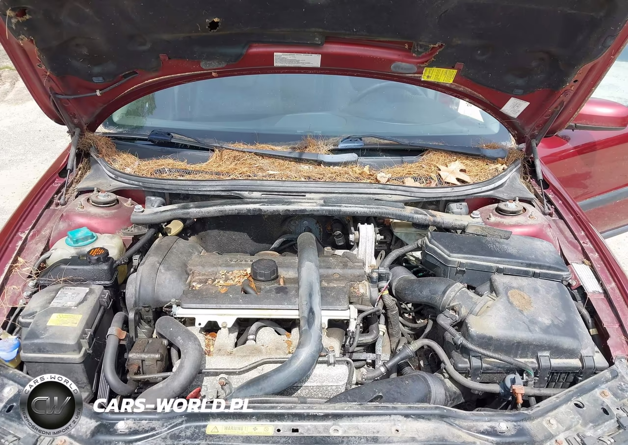 2004 Volvo S60 2.5T VIN:YV1RS59V642363288 - 10
