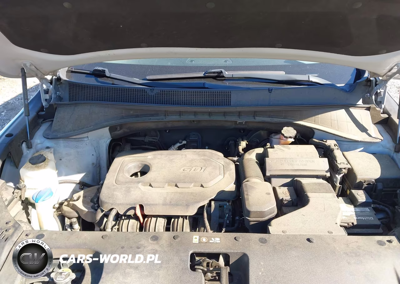 2019 Kia Sorento 2.4L L VIN:5XYPG4A39KG588407 - 10