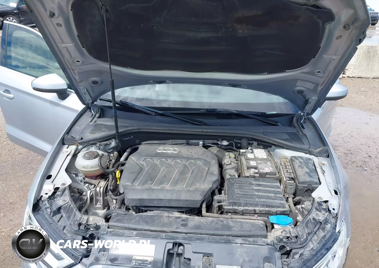 2019 Audi A3 40 Premium VIN:WAUAUGFF9K1011148 - 10