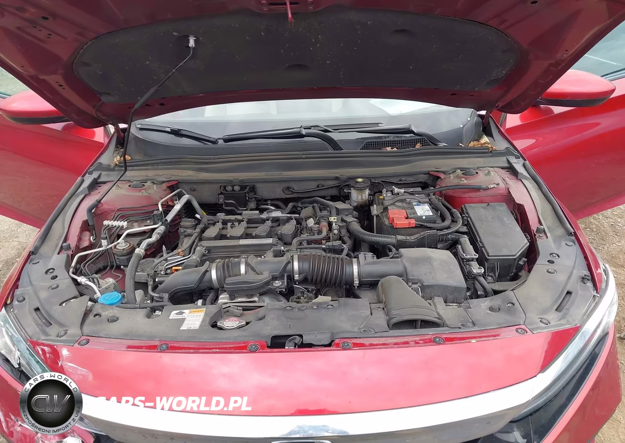 2019 Honda Accord Lx VIN:1HGCV1F10KA074425 - 10