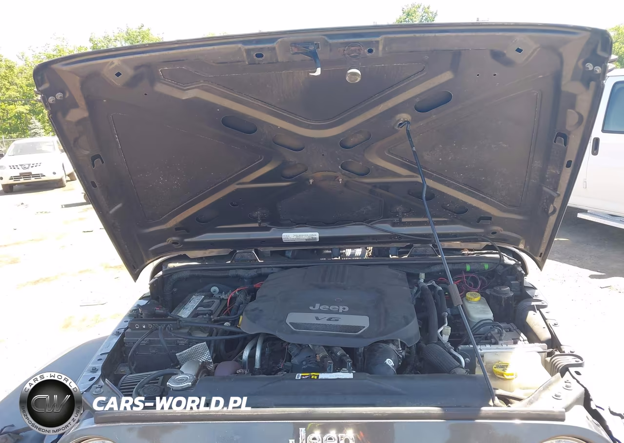 2016 Jeep Wrangler Unlimited Sport VIN:1C4BJWDG8GL343969 - 10