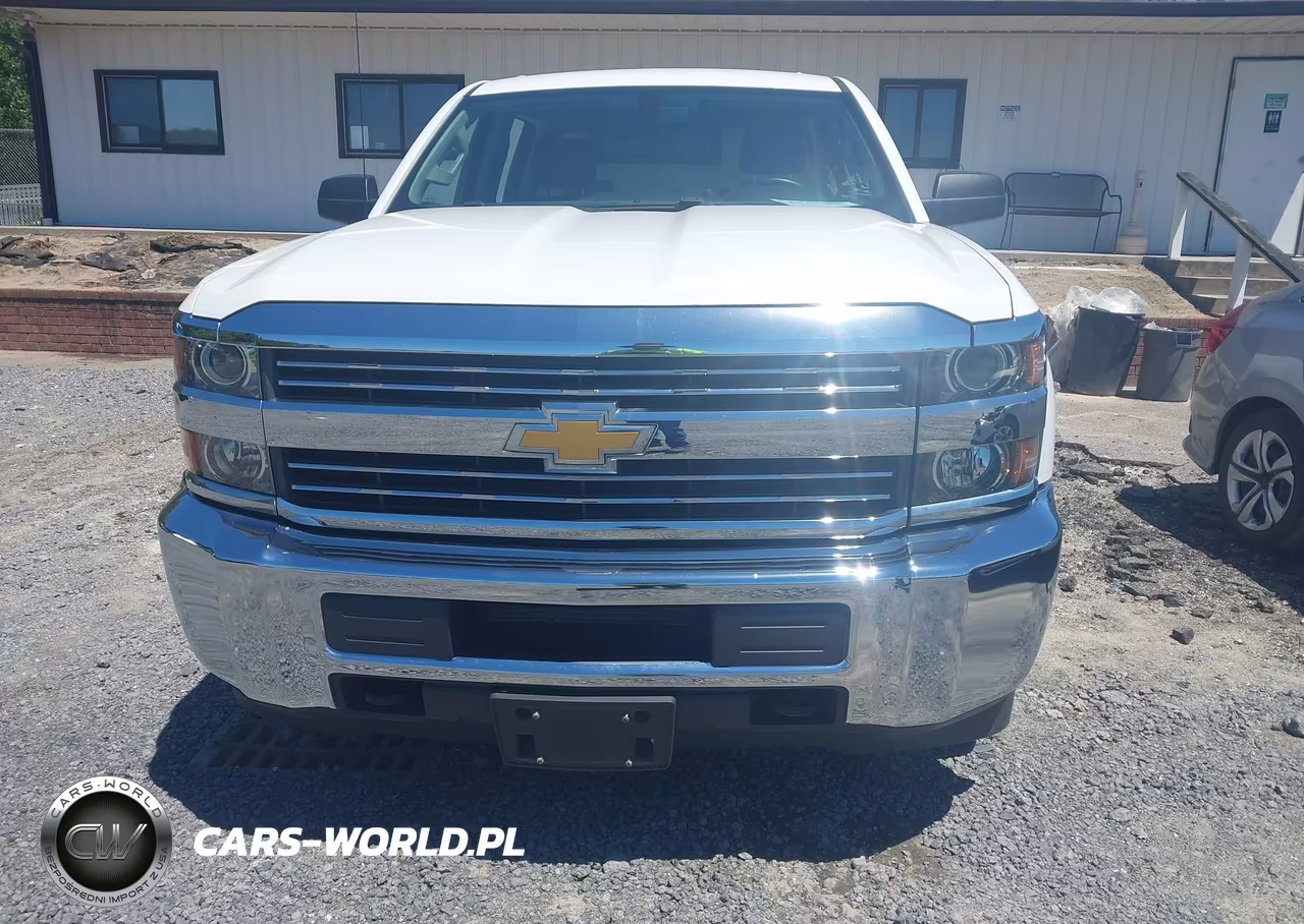 2017 Chevrolet Silverado 2500Hd Wt VIN:1GC1CUEG7HF189957 - 18