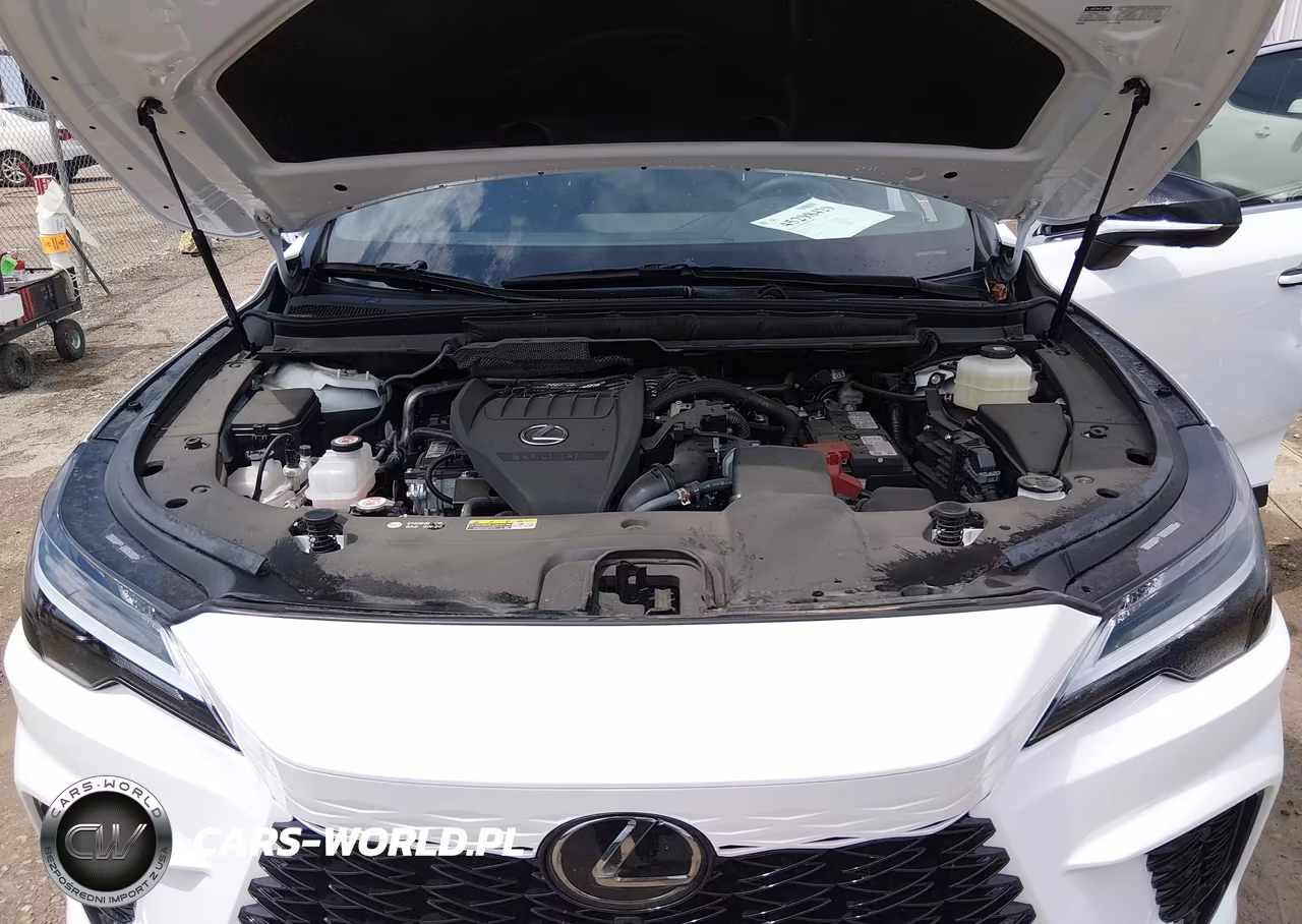 2025 Lexus Rx 350 F Sport Design VIN:2T2BAMCAXSC111211 - 10