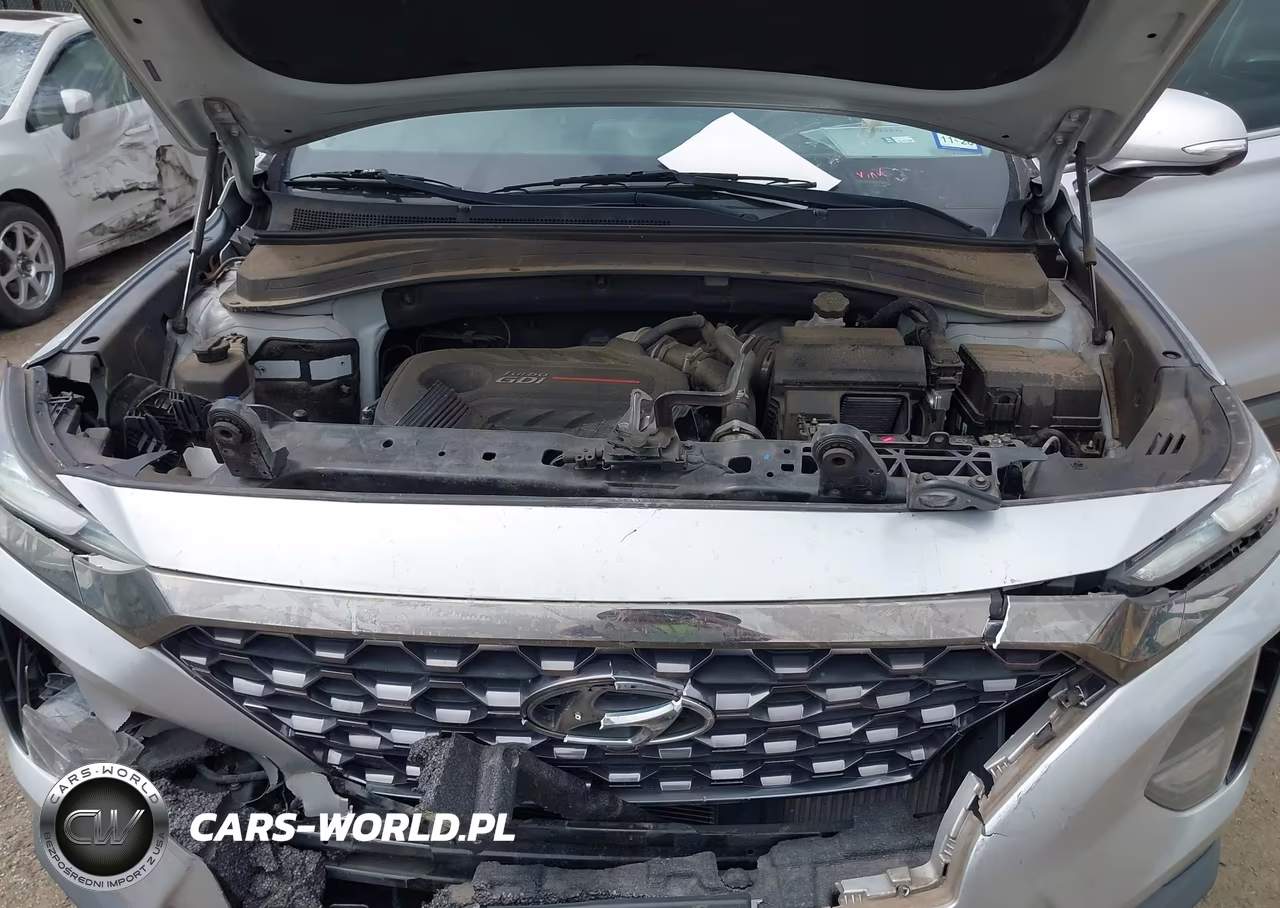 2020 Hyundai Santa Fe Limited 2.0T VIN:5NMS53AA8LH148761 - 10
