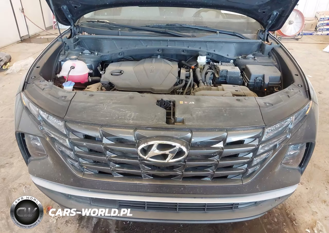 2023 Hyundai Tucson Sel VIN:5NMJFCAE6PH191769 - 10