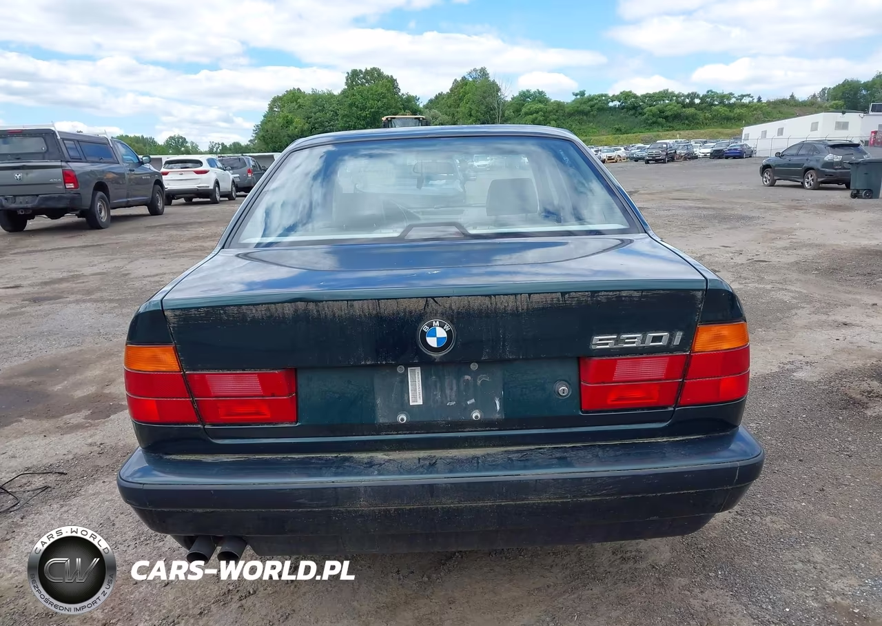1994 BMW 530 I Automatic VIN:WBAHE2320RGE88920 - 16