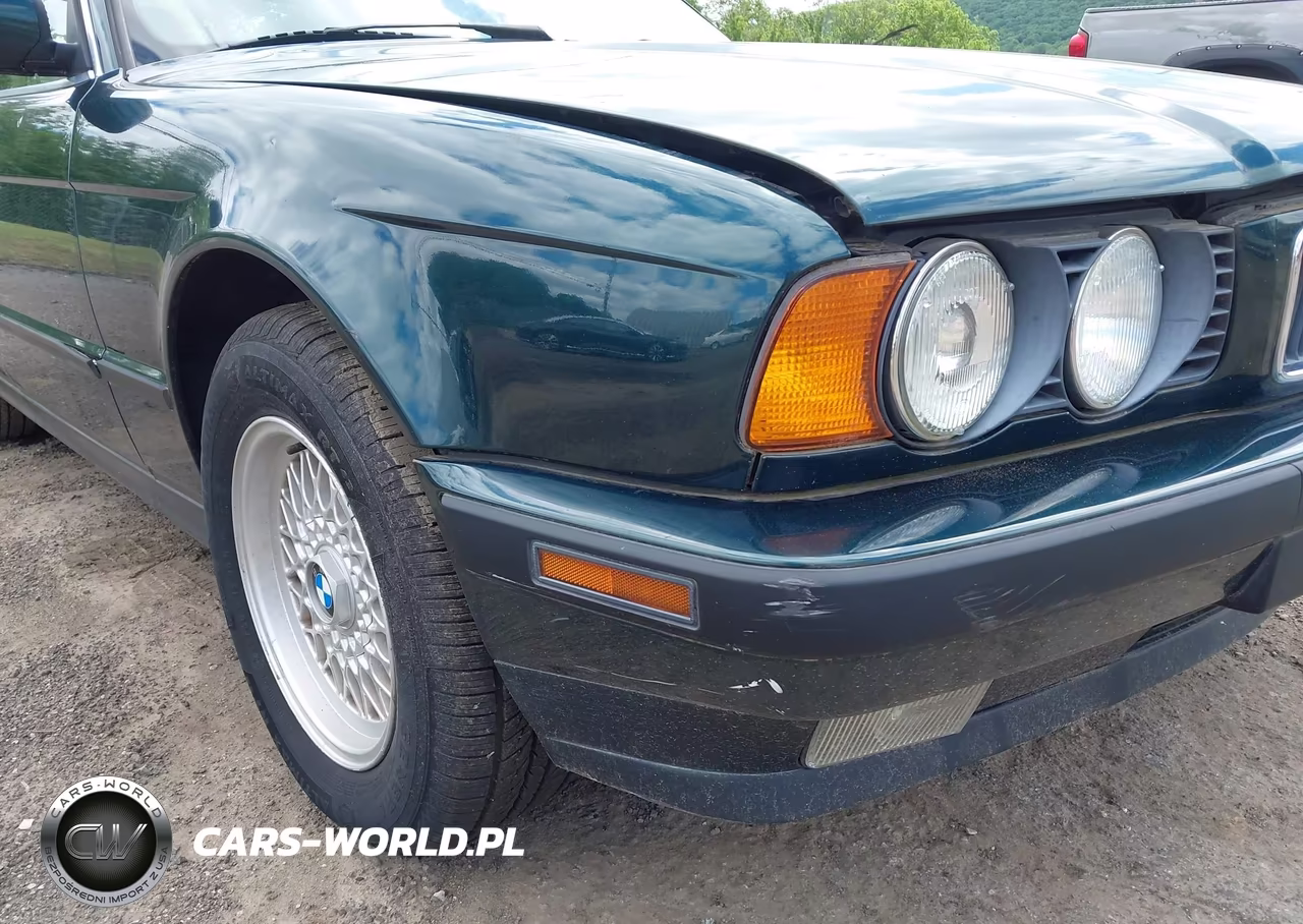 1994 BMW 530 I Automatic VIN:WBAHE2320RGE88920 - 6