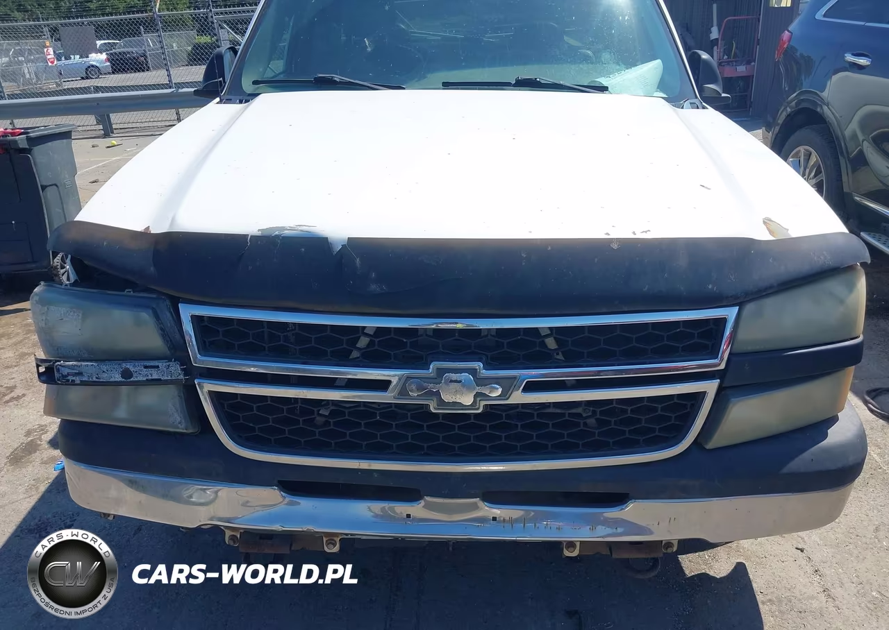 2006 Chevrolet Silverado 1500 Work Truck VIN:1GCEC19Z16E246099 - 10