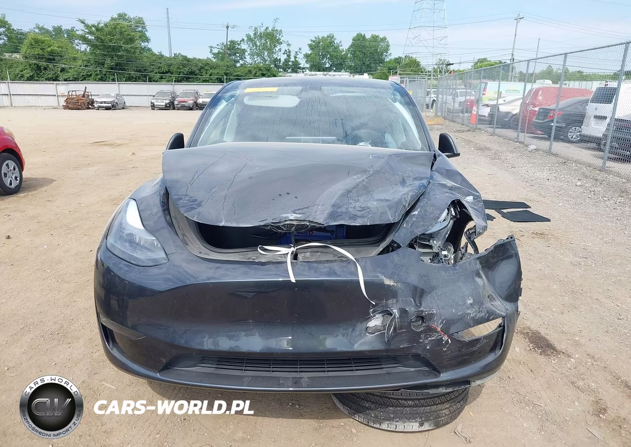 2025 Tesla Model Y Long Range Dual Motor Rear-Wheel Drive VIN:7SAYGDED7SF259917 - 11