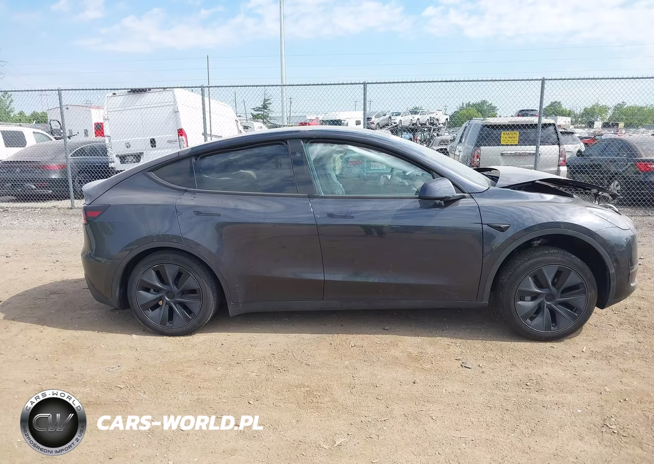2025 Tesla Model Y Long Range Dual Motor Rear-Wheel Drive VIN:7SAYGDED7SF259917 - 12