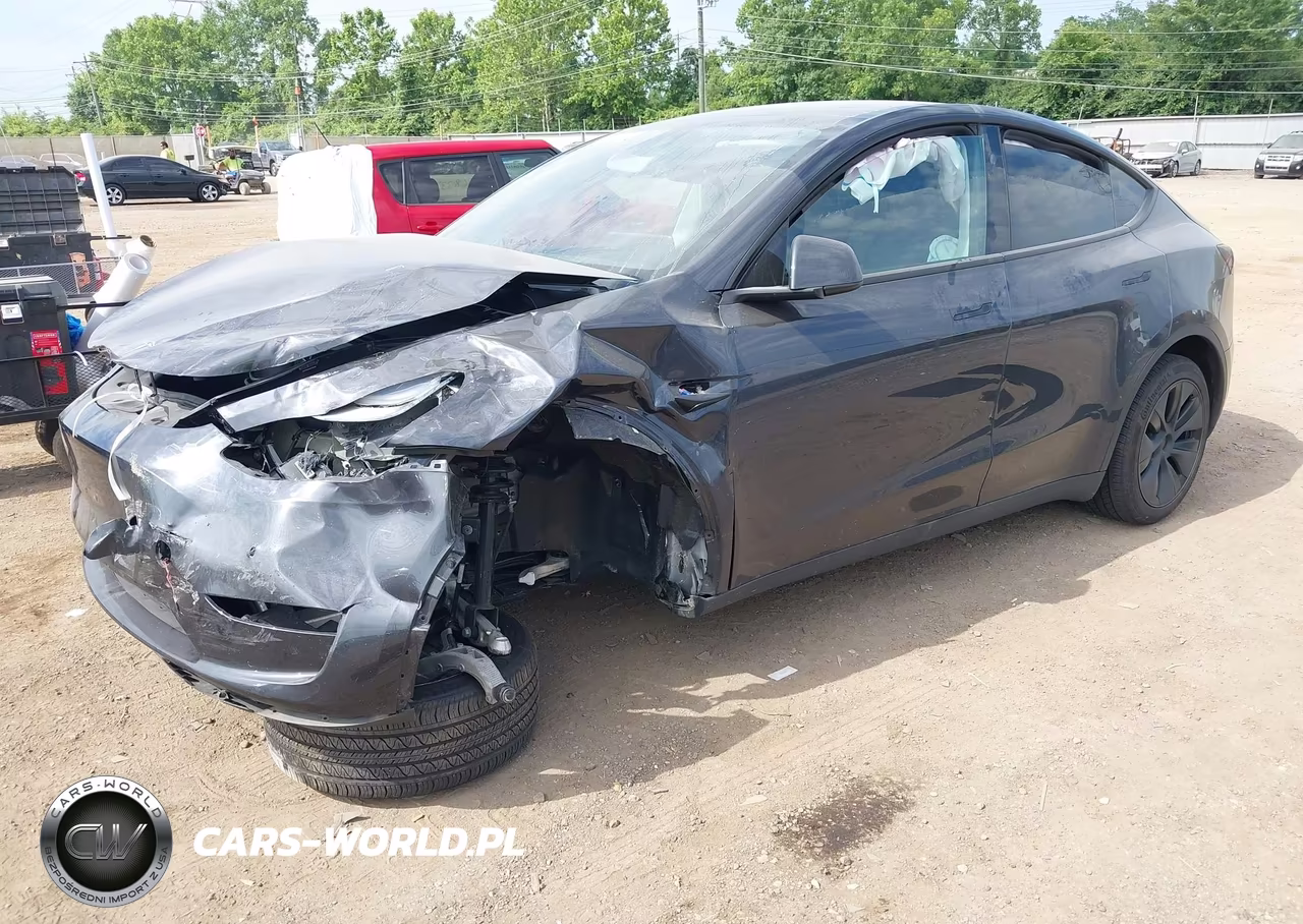 2025 Tesla Model Y Long Range Dual Motor Rear-Wheel Drive VIN:7SAYGDED7SF259917 - 2