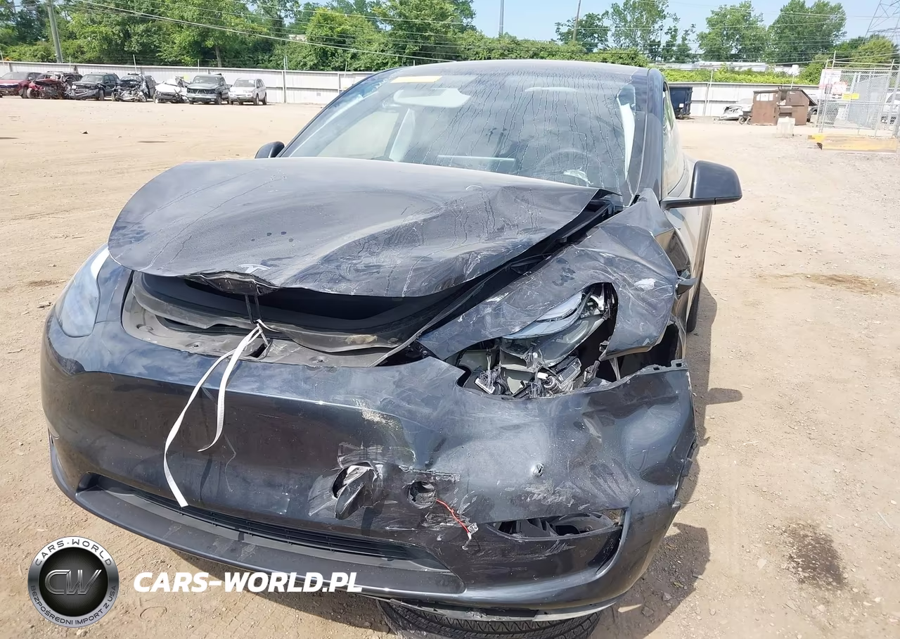 2025 Tesla Model Y Long Range Dual Motor Rear-Wheel Drive VIN:7SAYGDED7SF259917 - 6