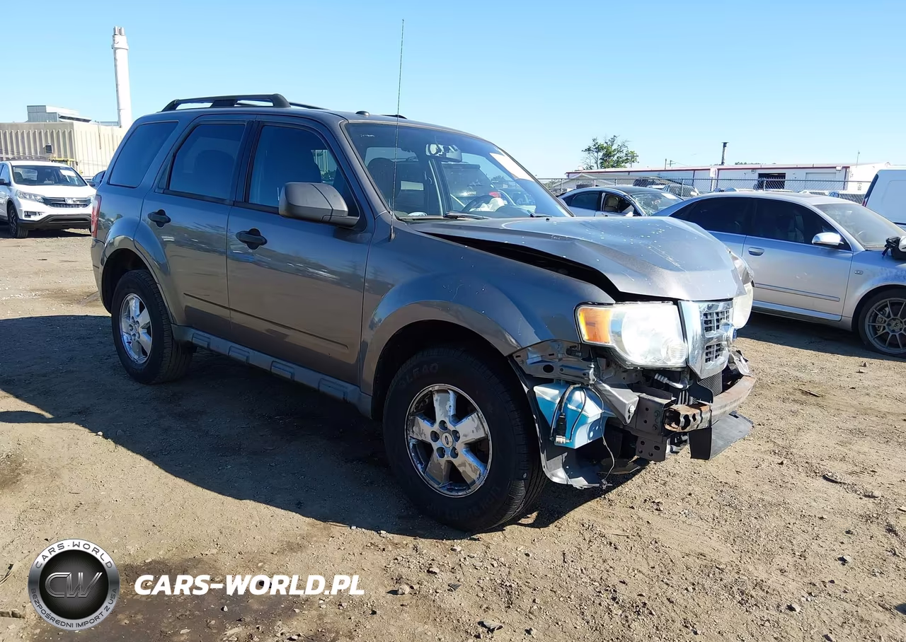 2010 Ford Escape Xlt