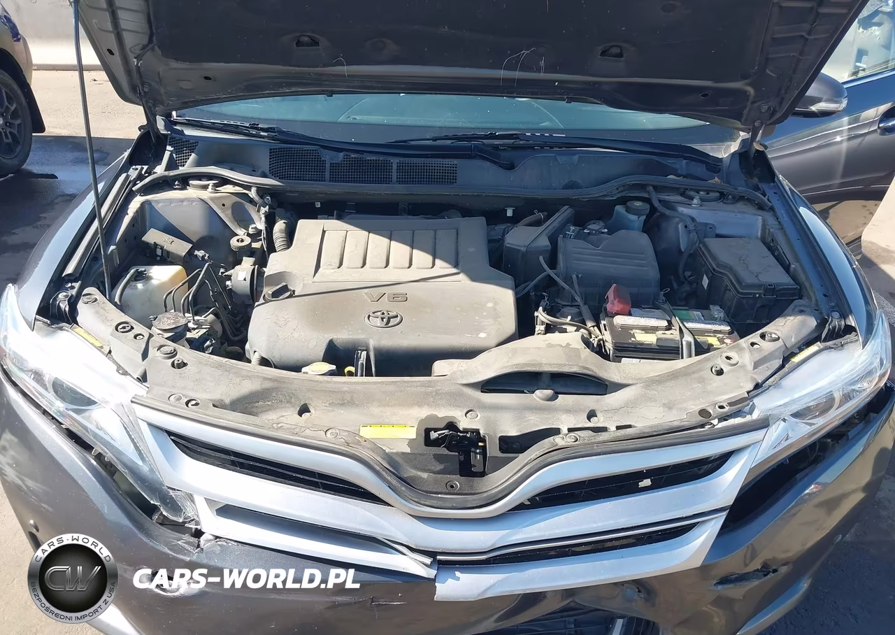2014 Toyota Venza Limited V6 VIN:4T3BK3BB3EU099757 - 10