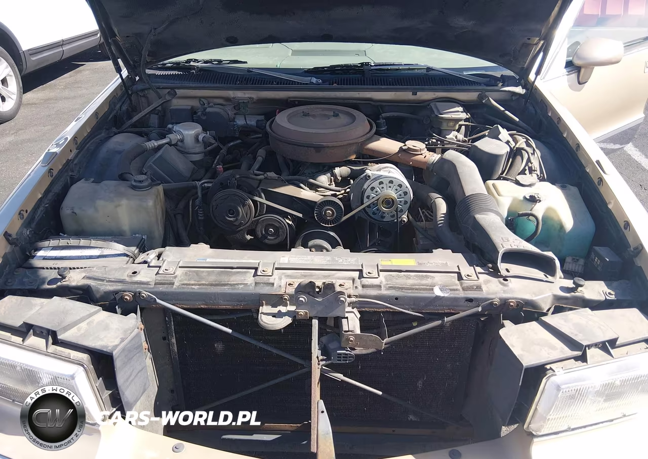 1993 Cadillac Fleetwood Chassis VIN:1G6DW527XPR71260 - 10