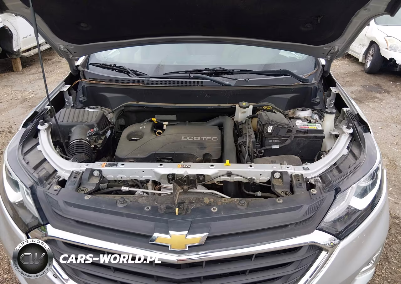 2019 Chevrolet Equinox Ls VIN:2GNAXHEV3K6174357 - 10