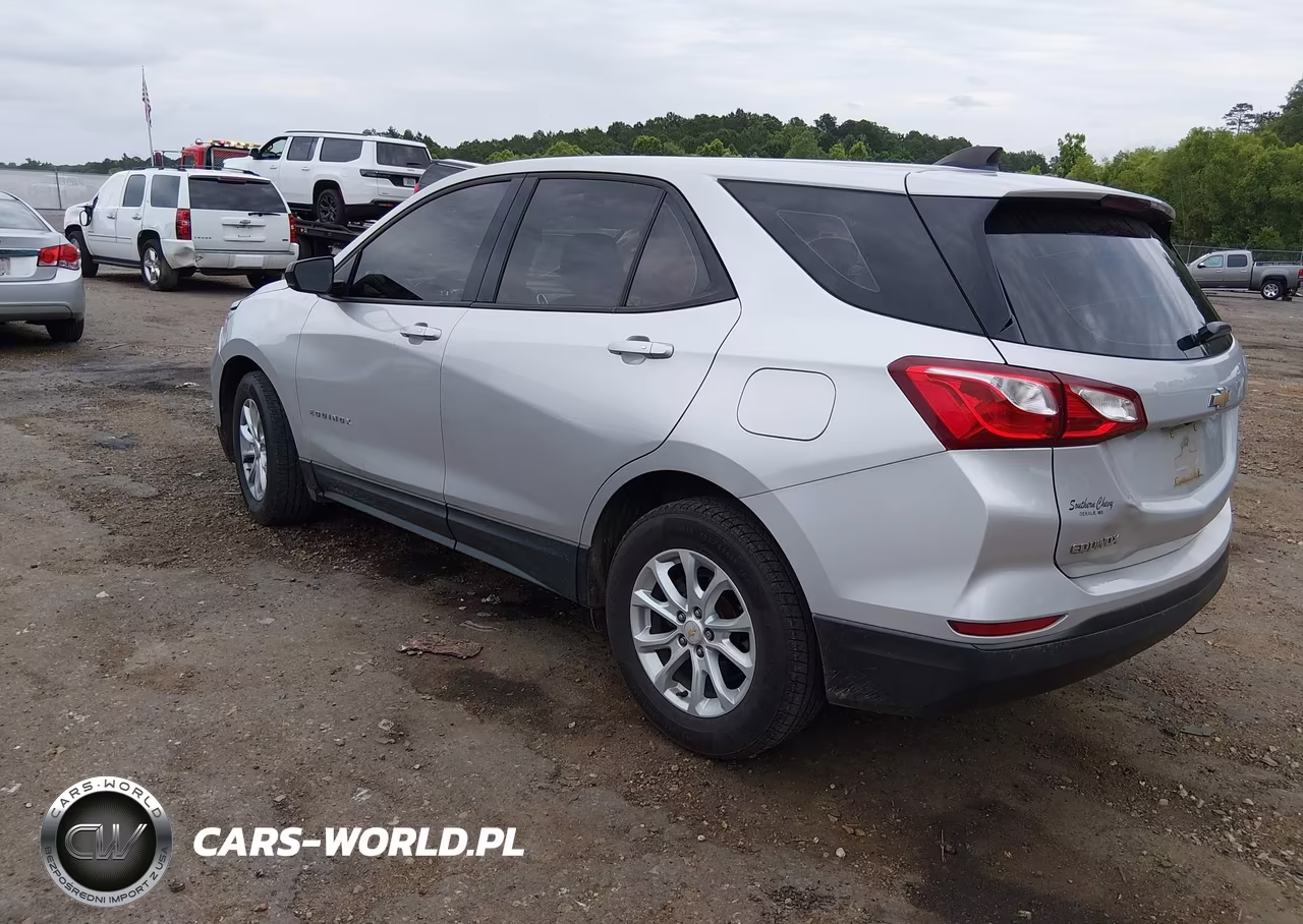 2019 Chevrolet Equinox Ls VIN:2GNAXHEV3K6174357 - 3