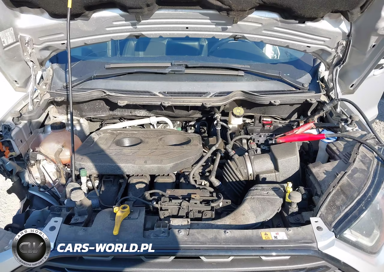 2020 Ford Ecosport Ses VIN:MAJ6S3JL6LC392361 - 10