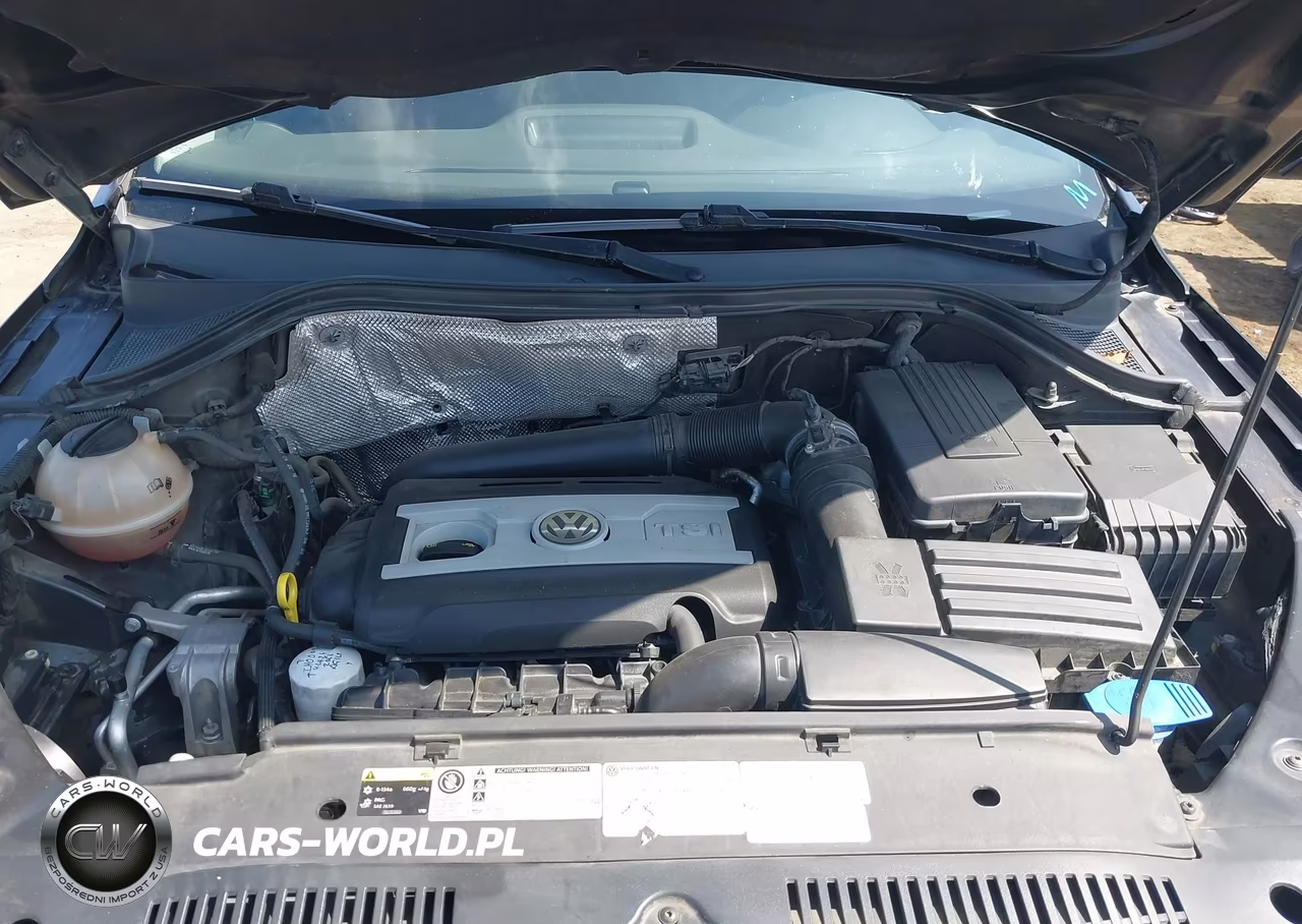 2017 Volkswagen Tiguan 2.0T Wolfsburg Edition VIN:WVGSV7AX4HK001226 - 10