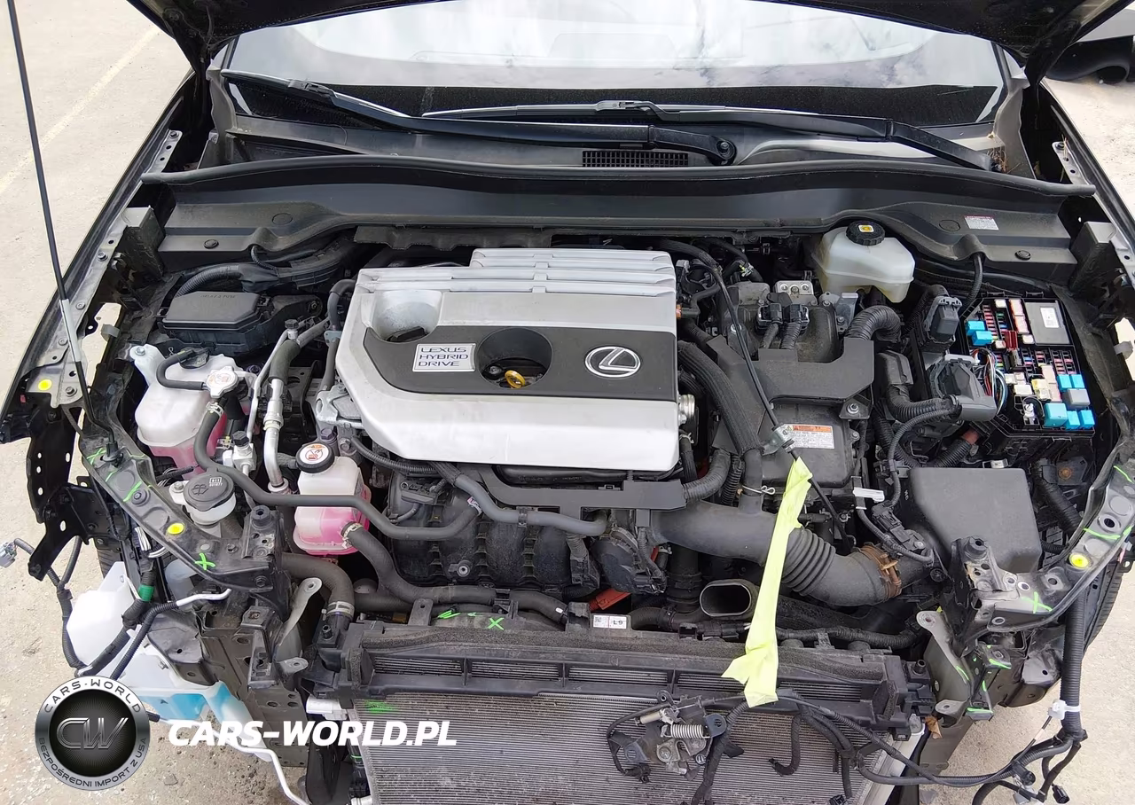 2020 Lexus Ux 250H VIN:JTHX9JBH9L2033146 - 10