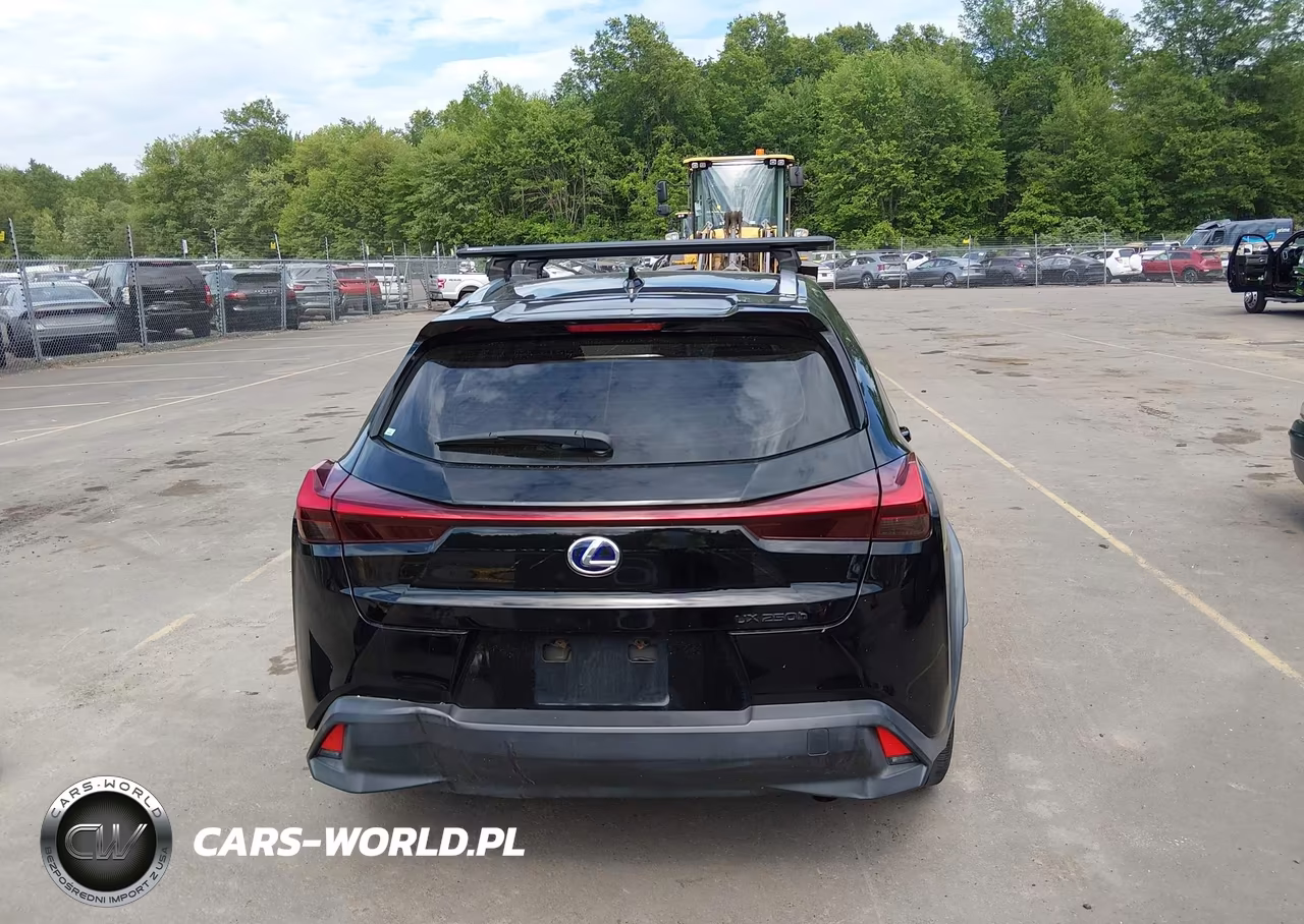 2020 Lexus Ux 250H VIN:JTHX9JBH9L2033146 - 17