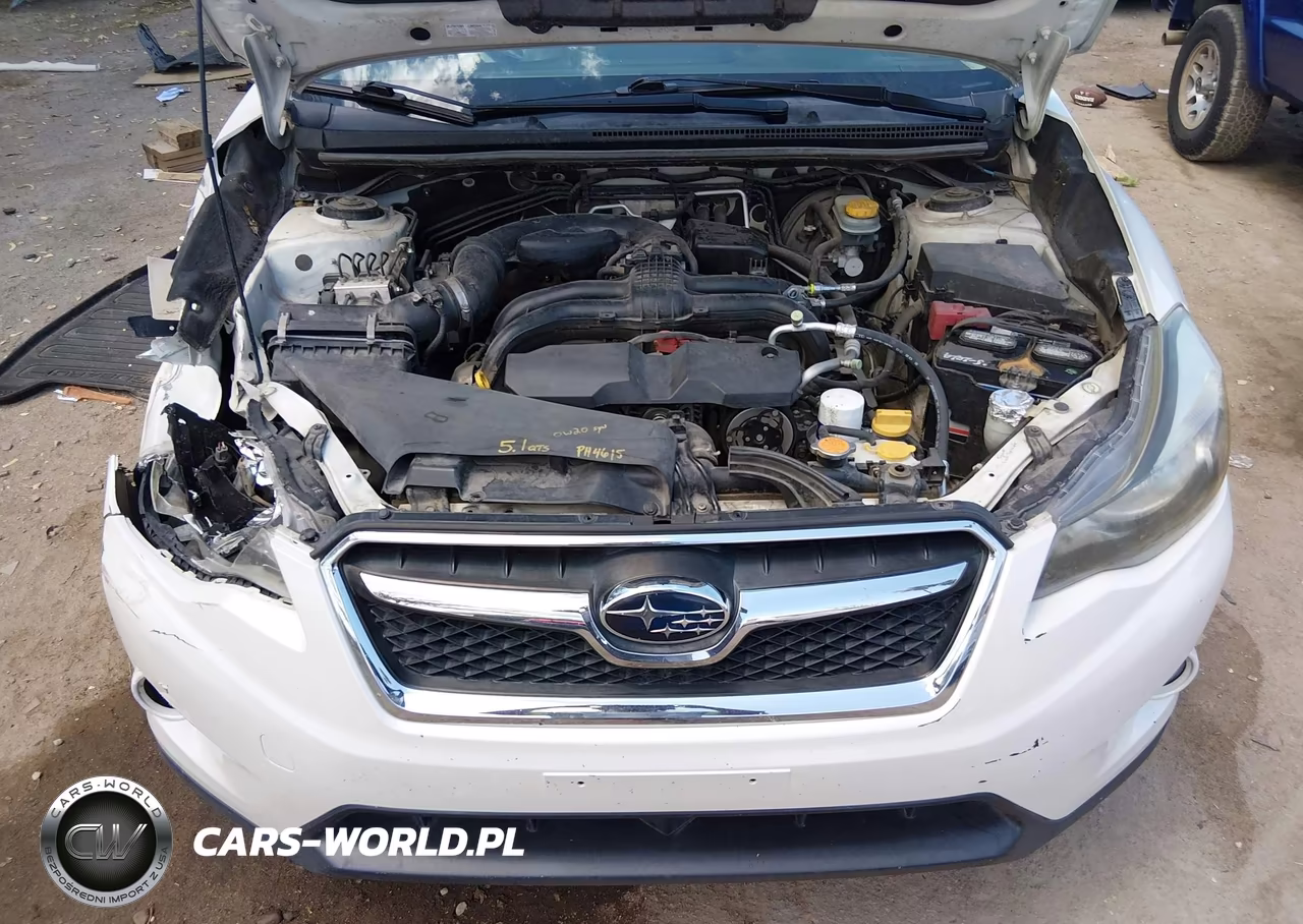 2013 Subaru Xv Crosstrek 2.0I Limited VIN:JF2GPAKC1D2901316 - 10