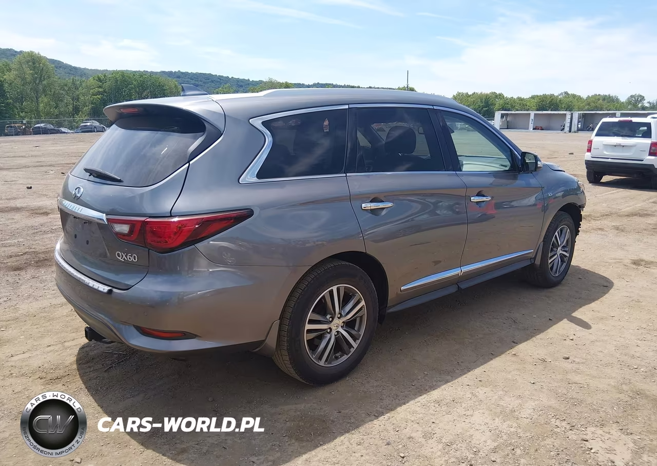 2020 Infiniti Qx60 Luxe Awd VIN:5N1DL0MM1LC511740 - 4