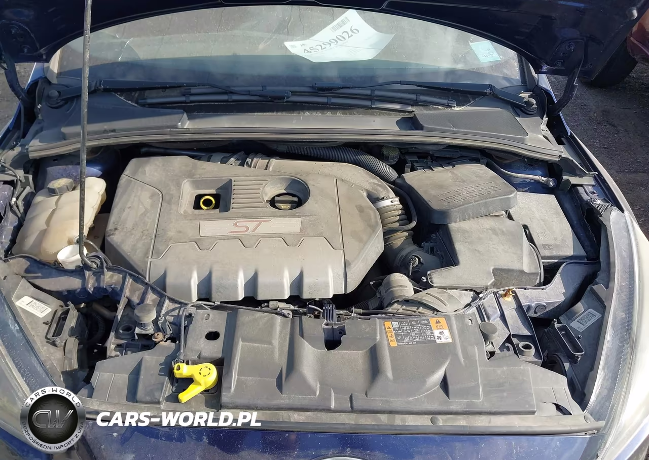 2016 Ford Focus St VIN:1FADP3L90GL200075 - 10